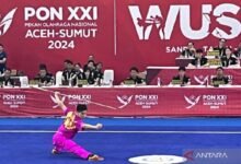 Edgar Xavier Marvelo Raih Medali Emas Kedua pada PON 2024 di area pada Wushu Nomor Kombinasi