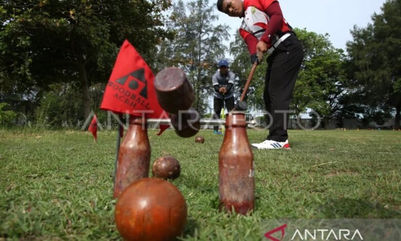 16 provinsi perebutkan tujuh medali emas woodball pada PON XXI dalam area Aceh